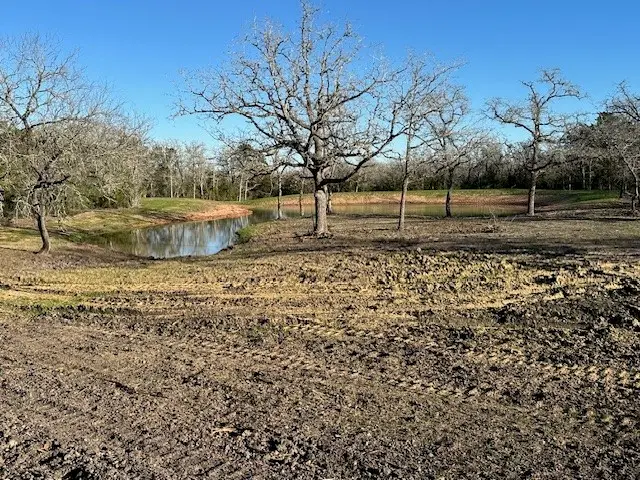 n/a County Road 134, Hallettsville, TX 77964 - #3