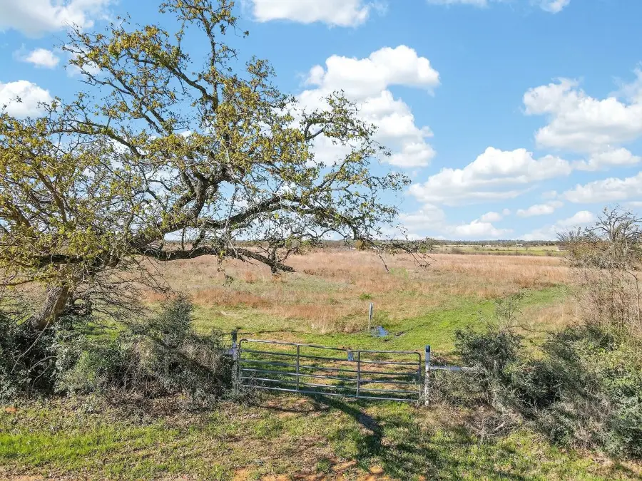 2534 Old Hickory Grove Road, Franklin, TX 77856 - #2