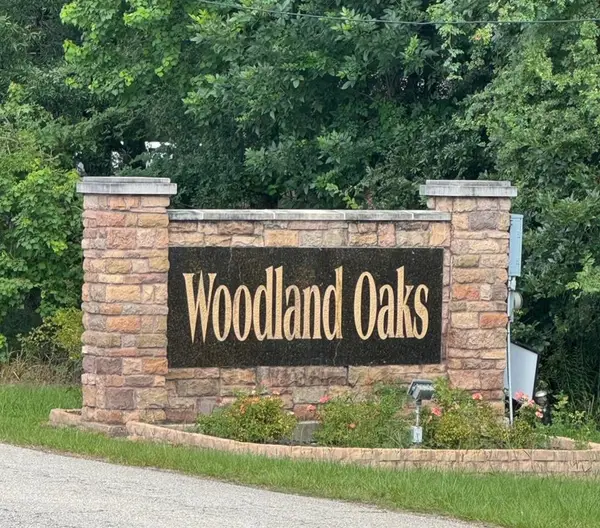 L34 Grant Drive, Magnolia, TX 77354