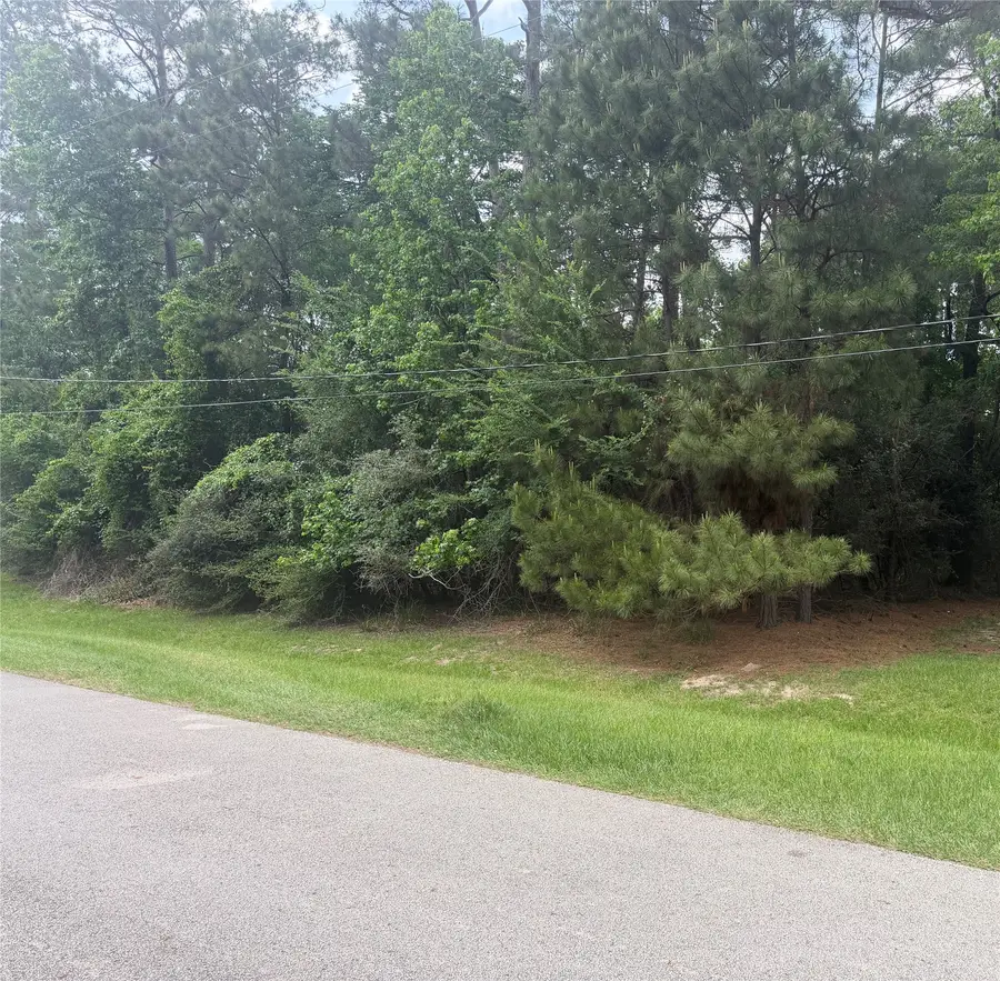 L34 Grant Drive, Magnolia, TX 77354 - #2