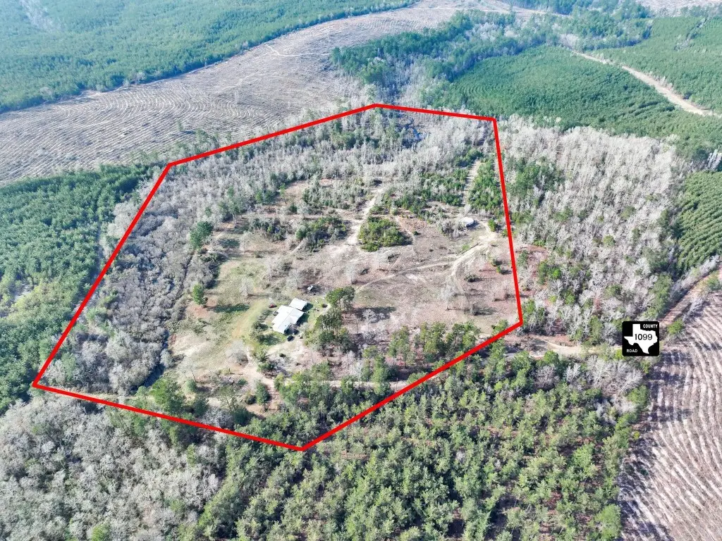 1202 County Road 1099, Wiergate, TX 75977 - #1