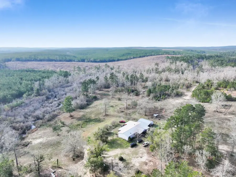 1202 County Road 1099, Wiergate, TX 75977 - #3