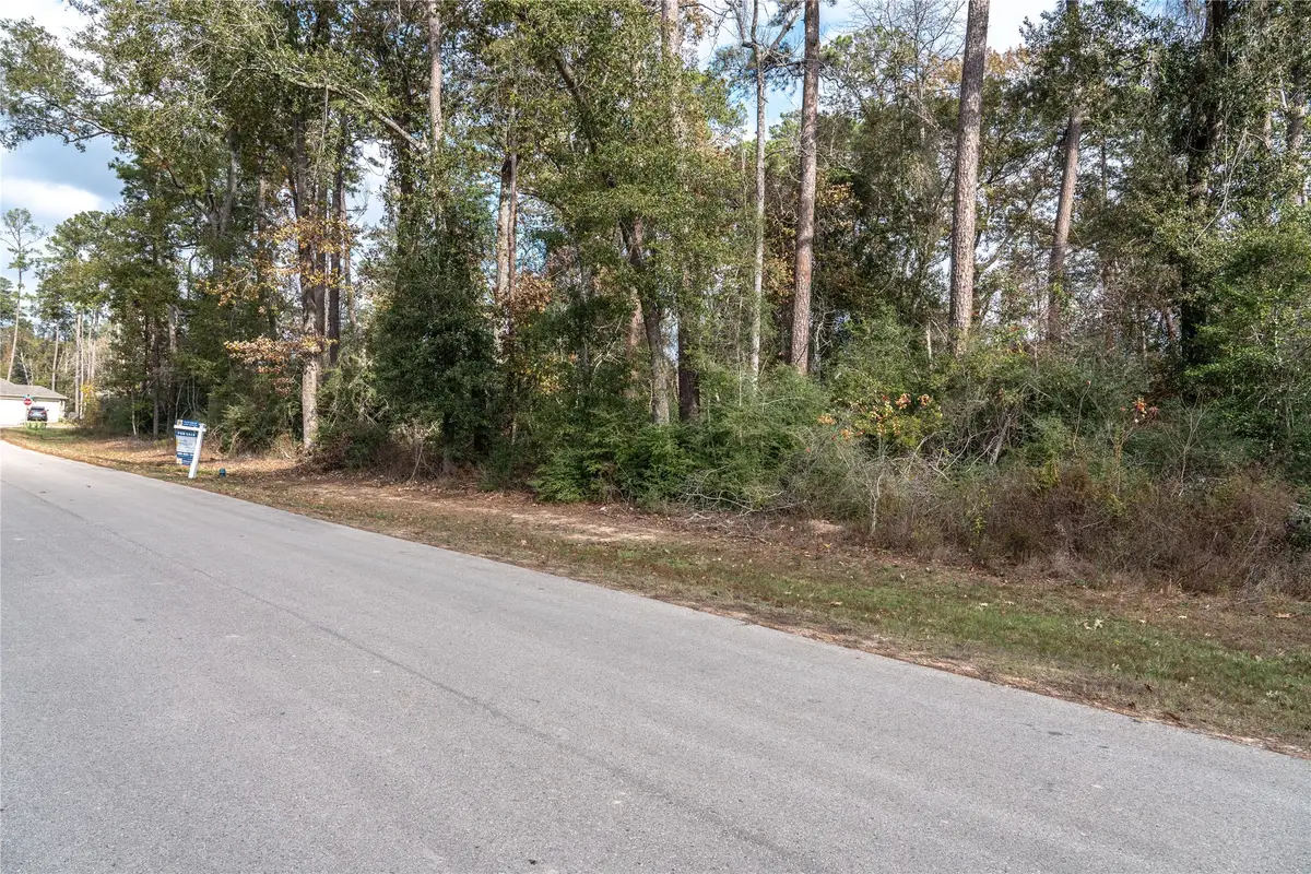 3010 Parthenon Place, New Caney, TX 77357 - Image #1