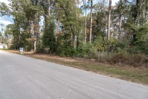 3010 Parthenon Place, New Caney, TX 77357