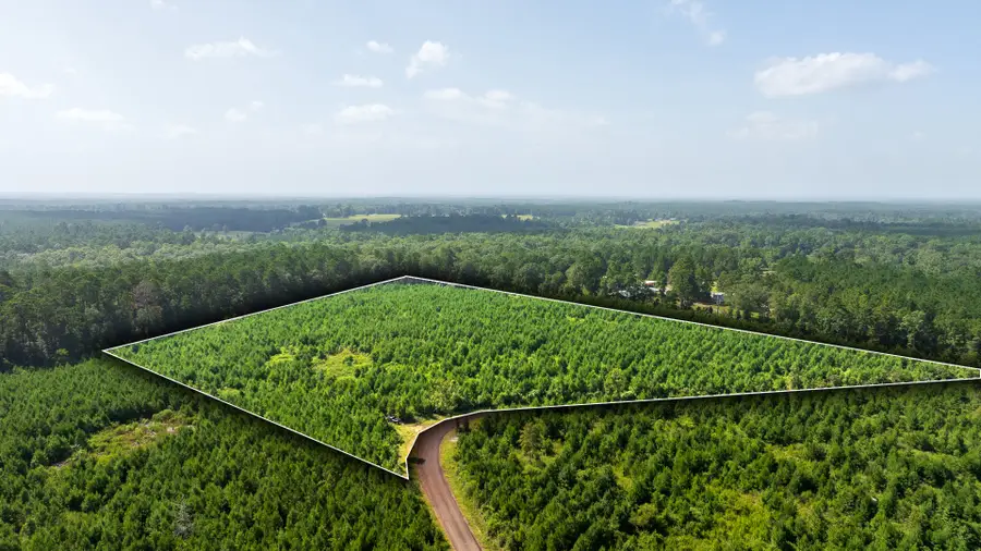 TBD 1 Sandy Creed Rd, Zavalla, TX 75980 - #2