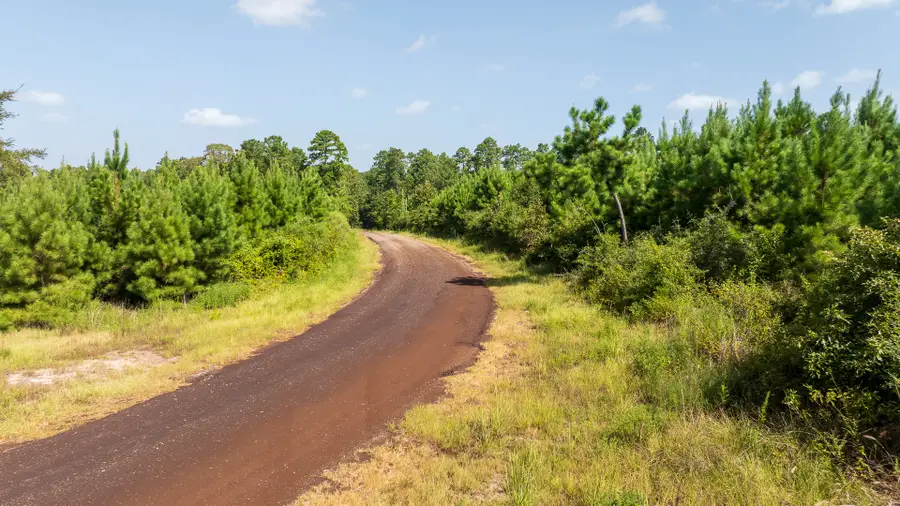 TBD 1 Sandy Creed Rd, Zavalla, TX 75980 - #3