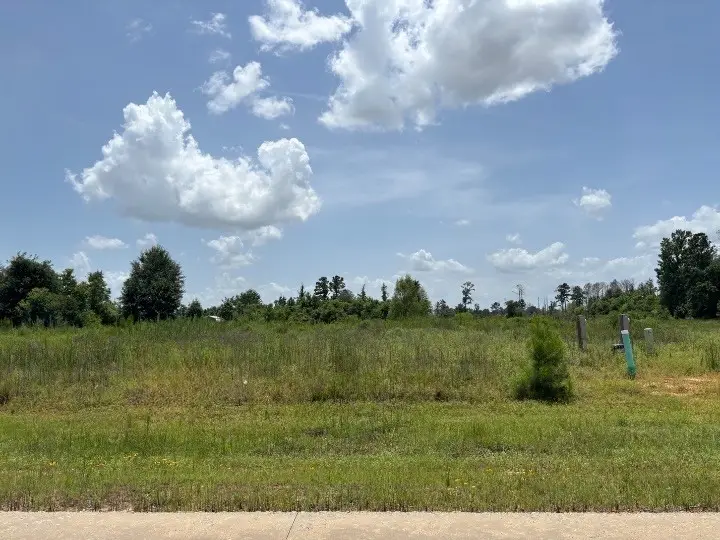 117 Road 5888, Cleveland, TX 77327 - #1
