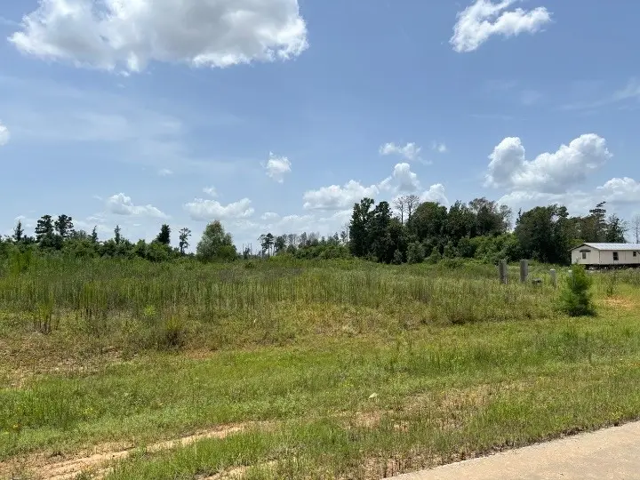117 Road 5888, Cleveland, TX 77327 - #2