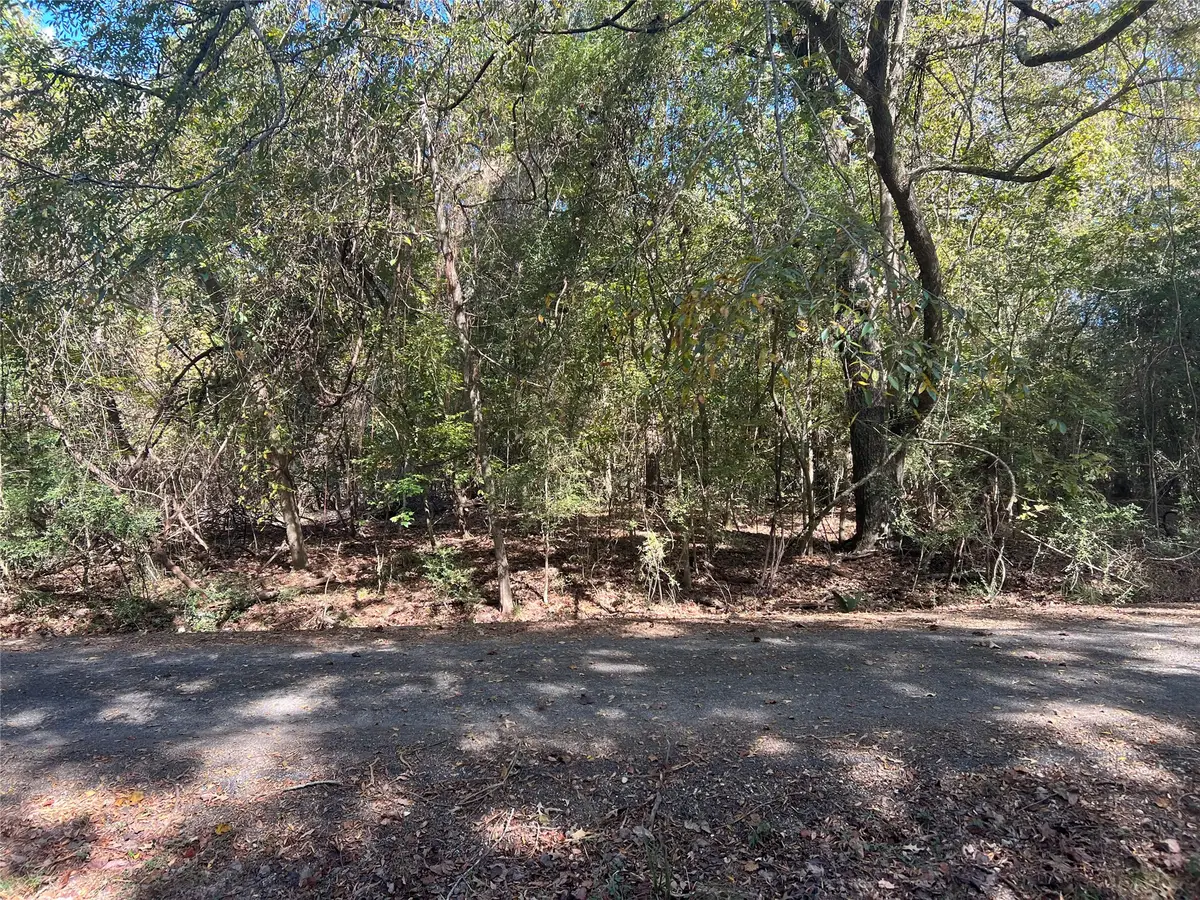 Lot 127 Holly Crest, Livingston, TX 77351 - #1