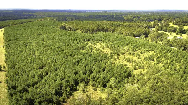 TBD Stutts Hill Road, Livingston, TX 77351