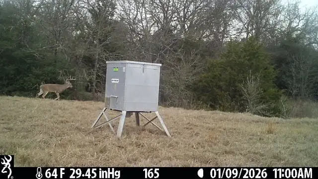 165 AC Turner Ln, Franklin, TX 77856 - Image #2