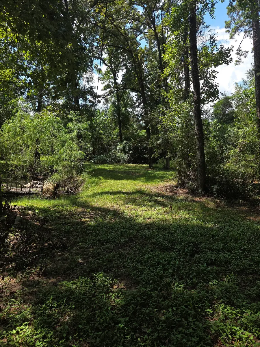 40 Hall Drive N, Montgomery, TX 77316 - #2
