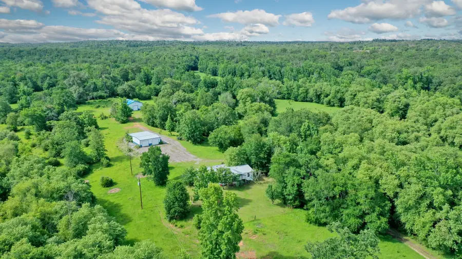 6443 Us Highway 79 W, Buffalo, TX 75831 - Image #3