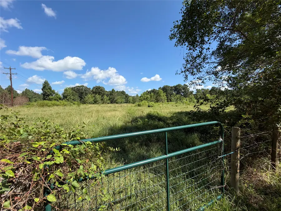 19514 Highway 321, Cleveland, TX 77327 - #2