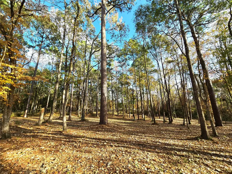 351 Dejardo Lane, Coldspring, TX 77331 - Image #3