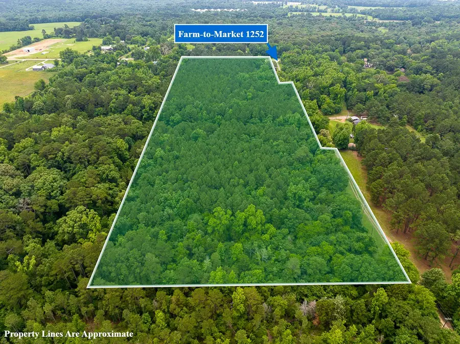 21135 Fm 1252, Winona, TX 75706 - #2