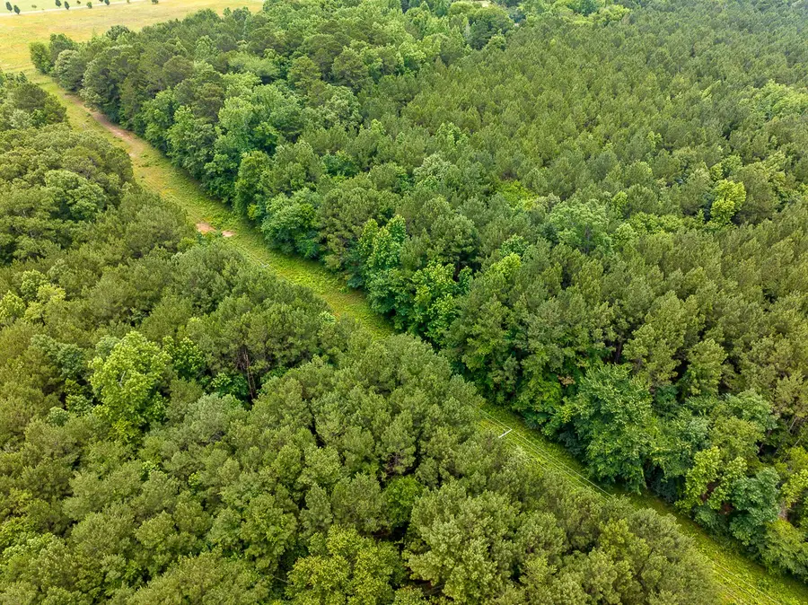 21135 Fm 1252, Winona, TX 75706 - #3