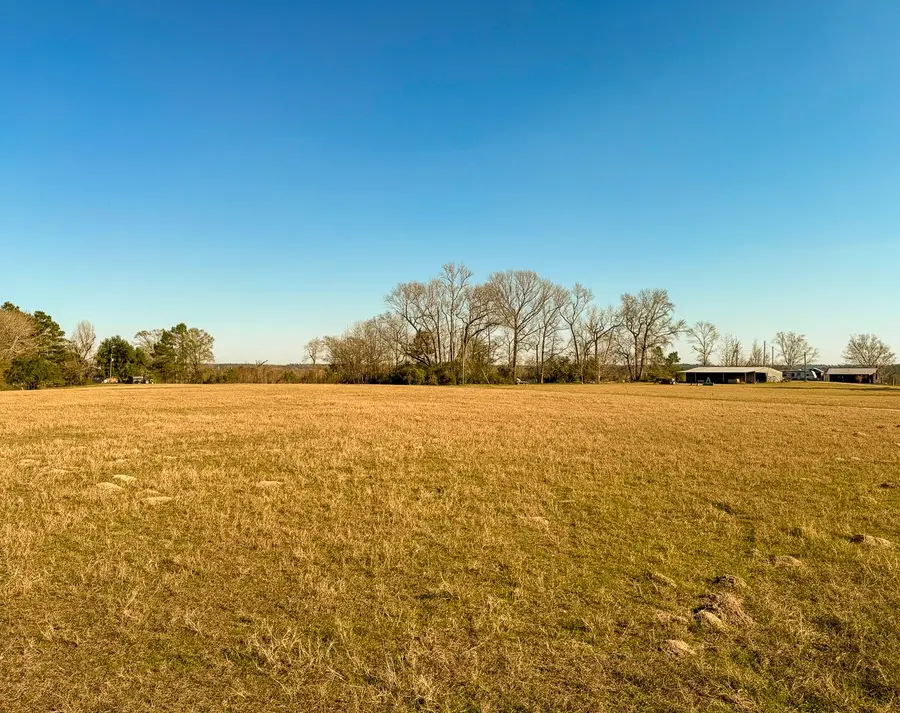 301 Paul Poe Road, Livingston, TX 77351 - #2