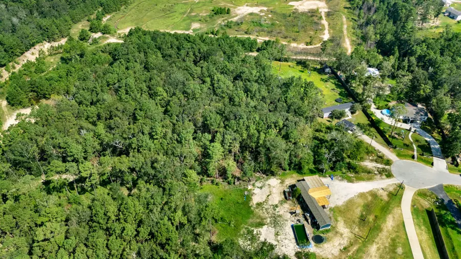 23501 Cranefly Lane, New Caney, TX 77357 - Image #3