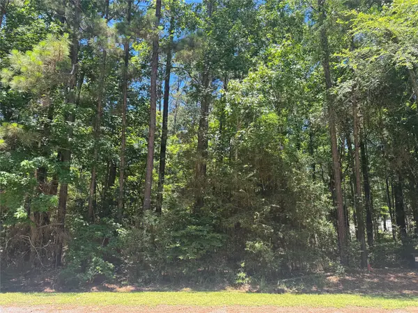 69 Sunny Hill Drive, Coldspring, TX 77331