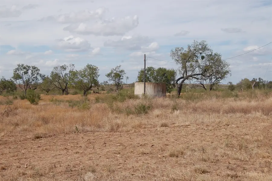 7081 County Rd 301, Sabinal, TX 78881 - Image #2