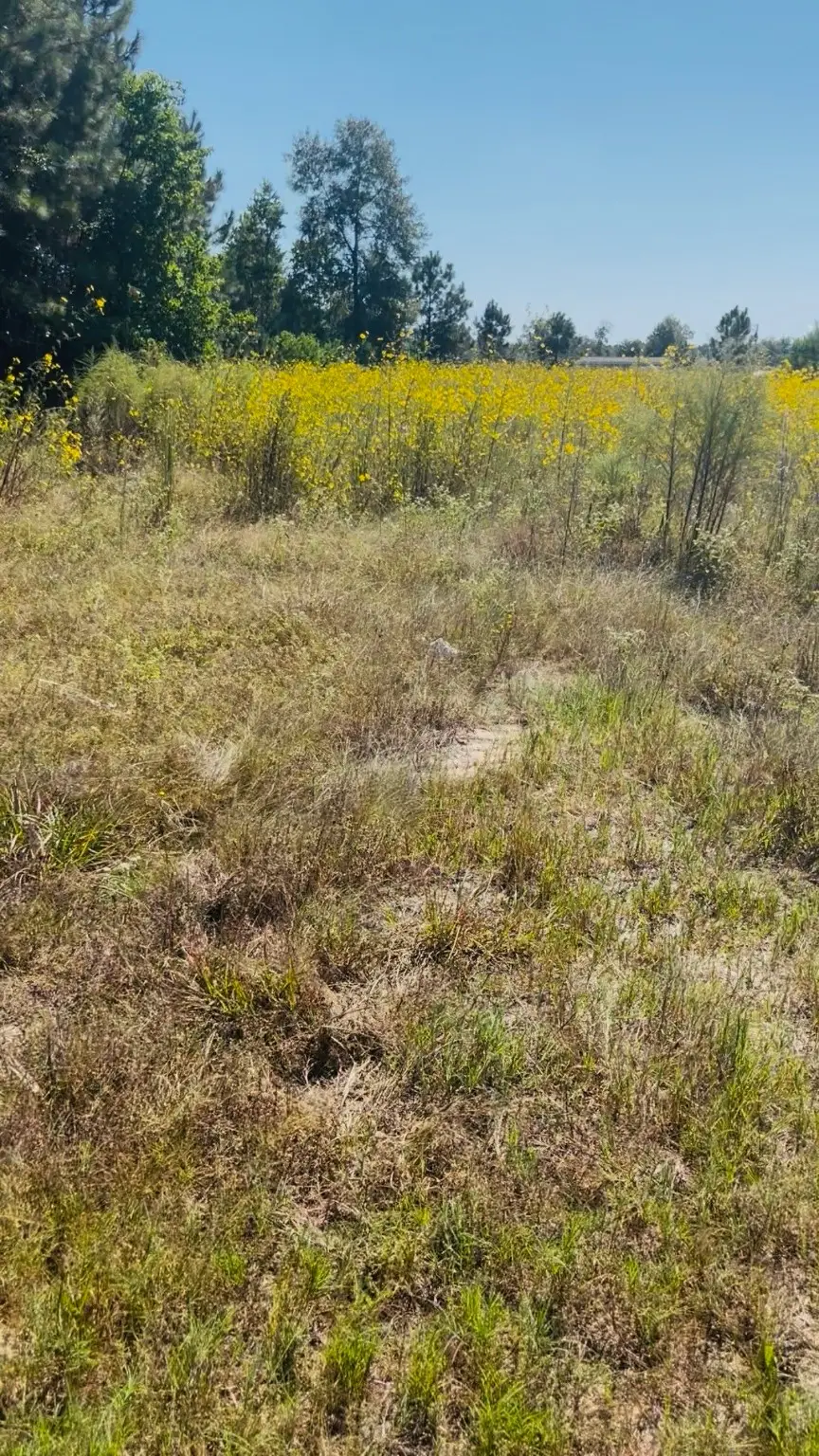 388 County Road 5017, Cleveland, TX 77327 - Image #1