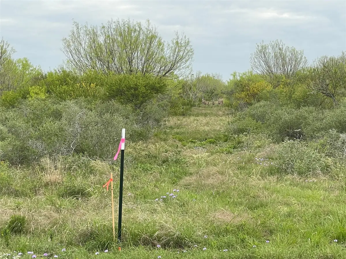 Lot 23 Pr Frio Estates Drive, Moore, TX 78057 - #1