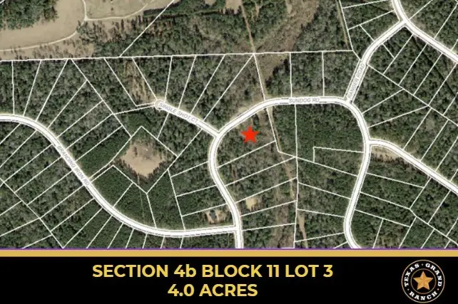 4b-11-3 Sundog Road, Huntsville, TX 77340 - #1