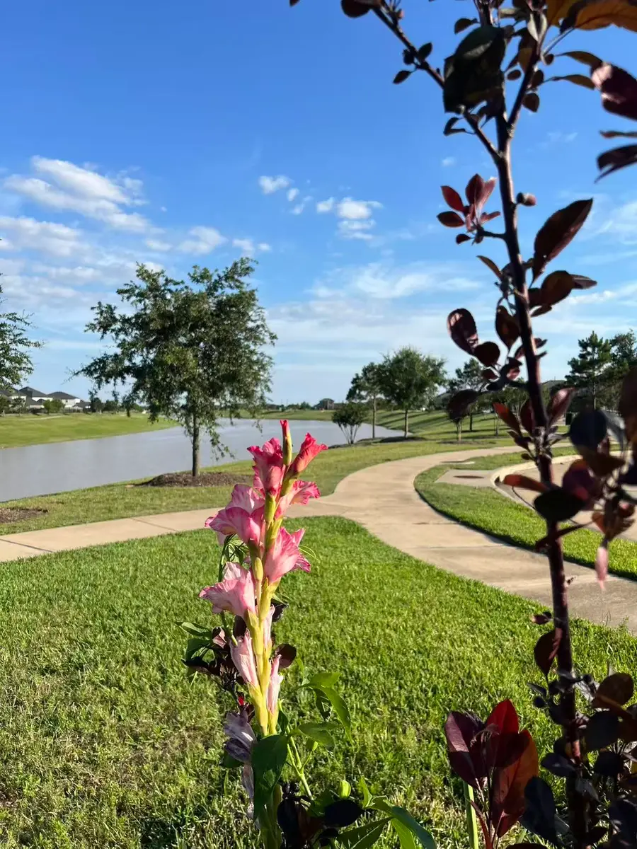 29602 Stanley Canyon Lane, Katy, TX 77494 - #2