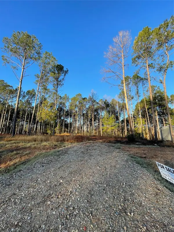 11333 Annie Creek Drive, Willis, TX 77378