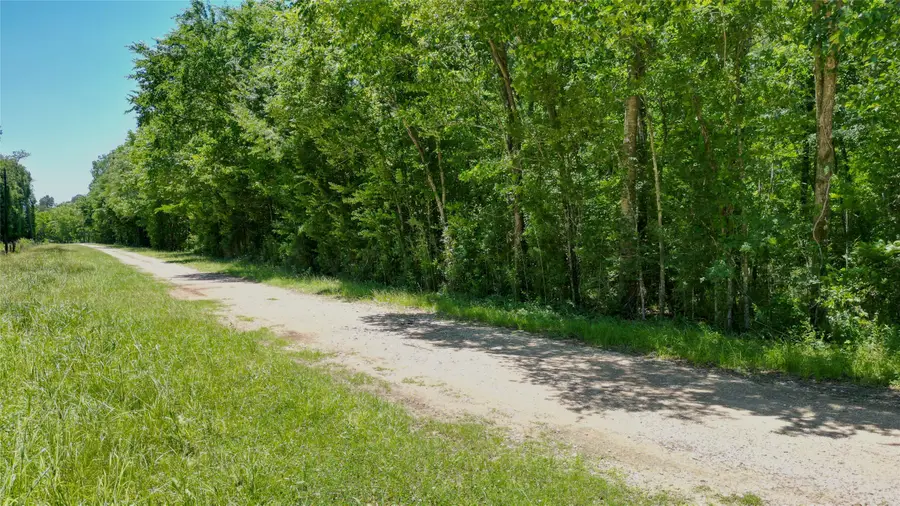 TBD Buck Creek Road, Shepherd, TX 77371 - #2