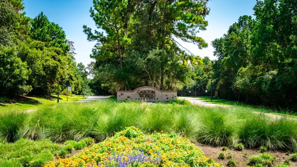 7 Primm Valley Ct, The Woodlands, TX 77389