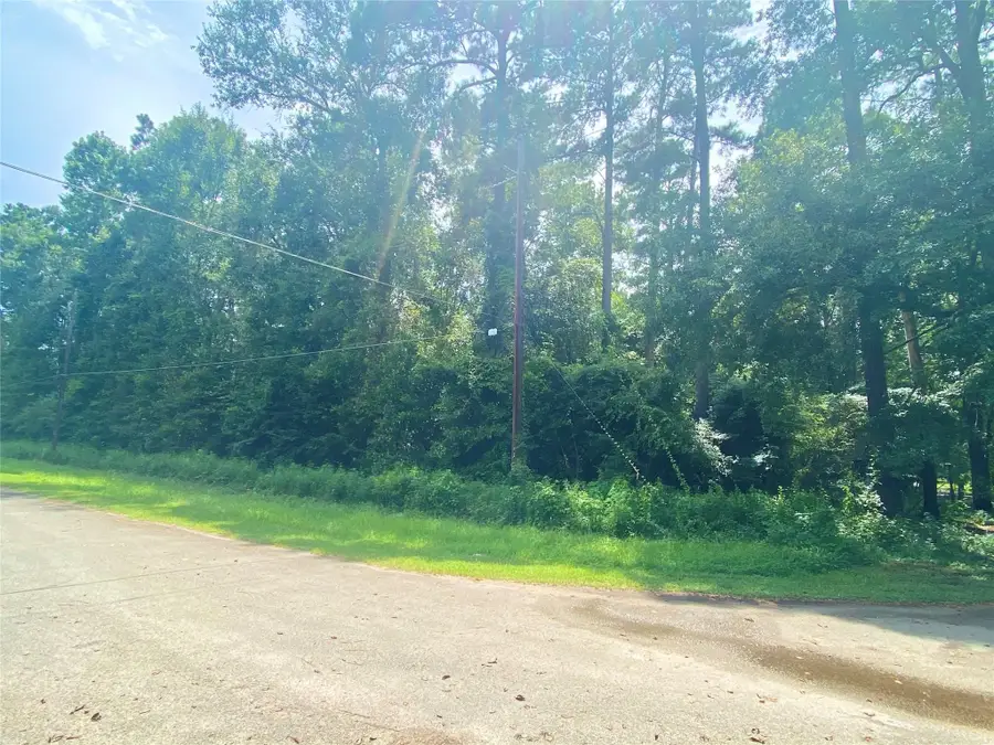 15104 Forest Lane, Conroe, TX 77306 - #2