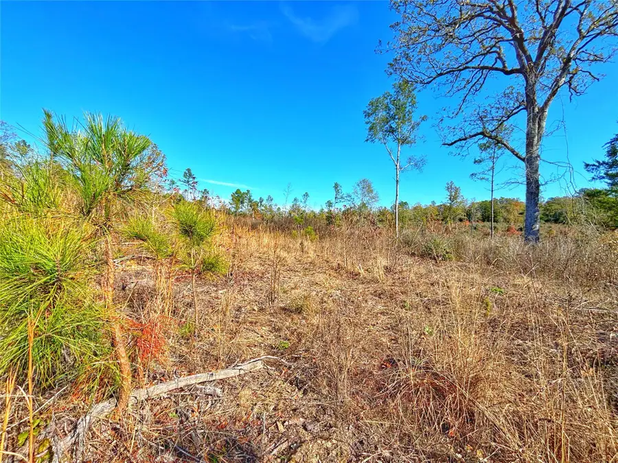 Tract 1 N Farm To Market 2022, Grapeland, TX 75844 - Image #2