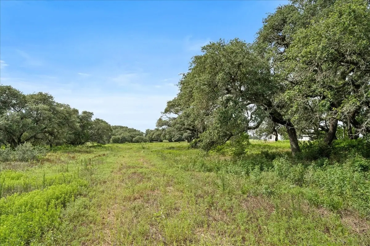 TBD Pintail Lane, Columbus, TX 78934 - #1