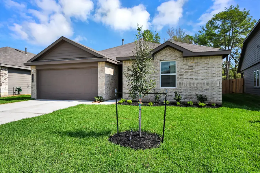 16922 Twisted Seagrass Lane, Magnolia, TX 77355 - #3