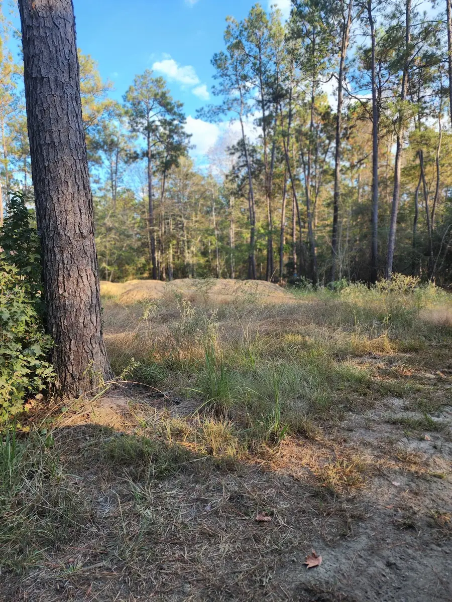 Dogwood drive Dogwood Drive Brookeland 75931, Brookeland, TX 75931 - #3