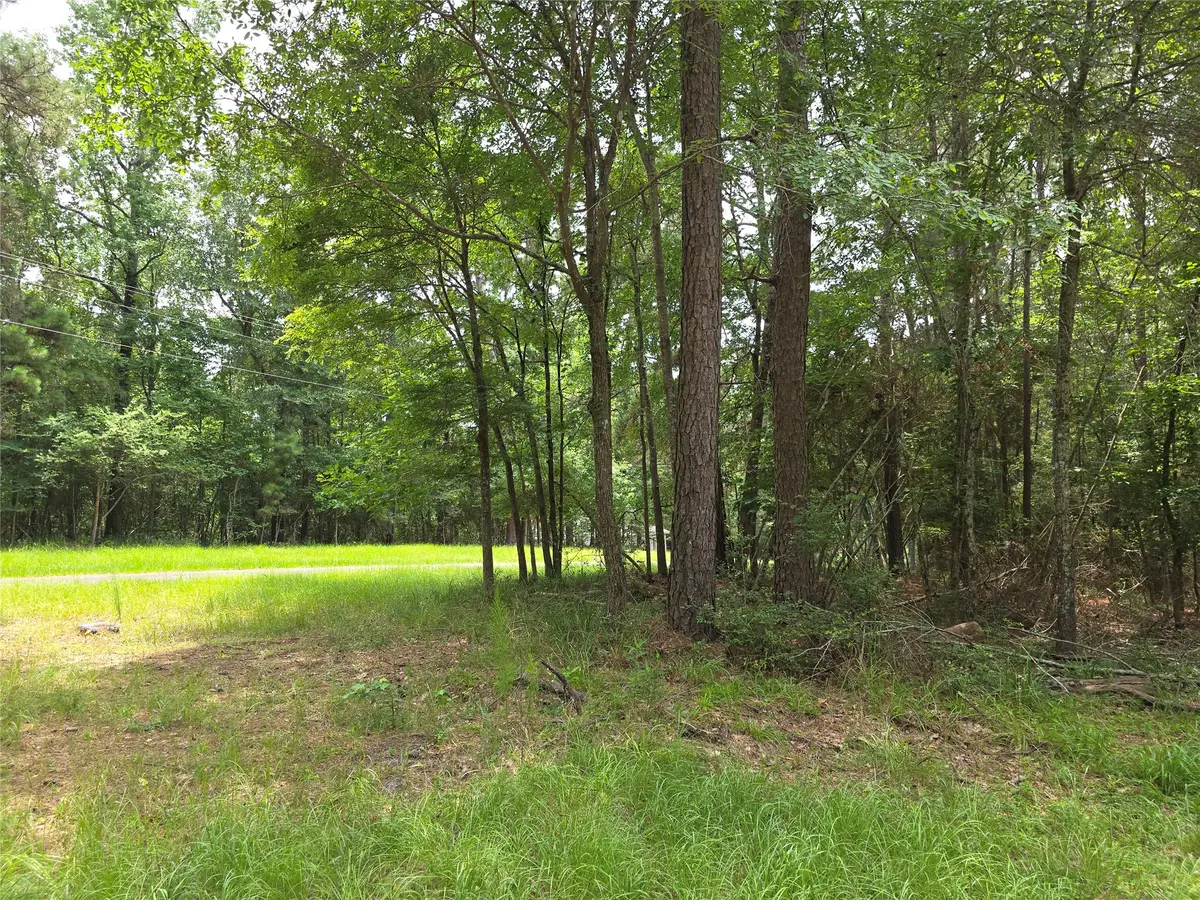 TBD Loper Lake Drive, Livingston, TX 77351 - #1