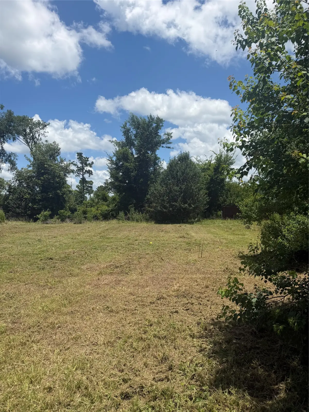 TBD Mulberry Cove, Onalaska, TX 77360 - #1