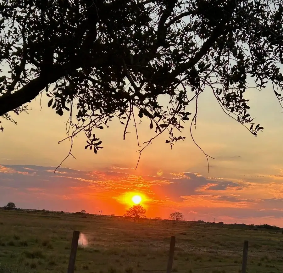 17126 Brumbelow Road, Needville, TX 77461 - #3