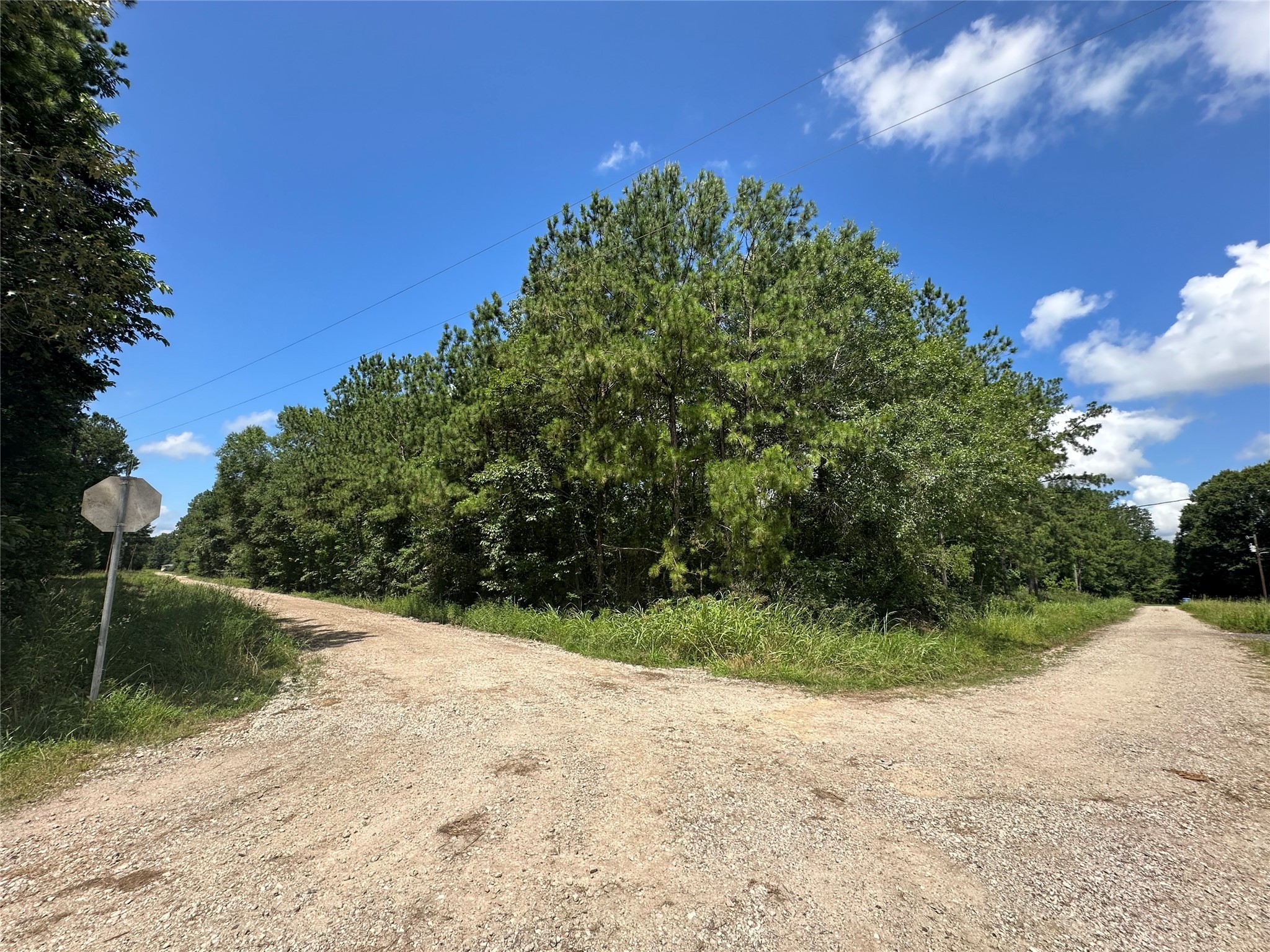 TBD Pioneer Trail, Livingston, TX 77351 - BHGRE