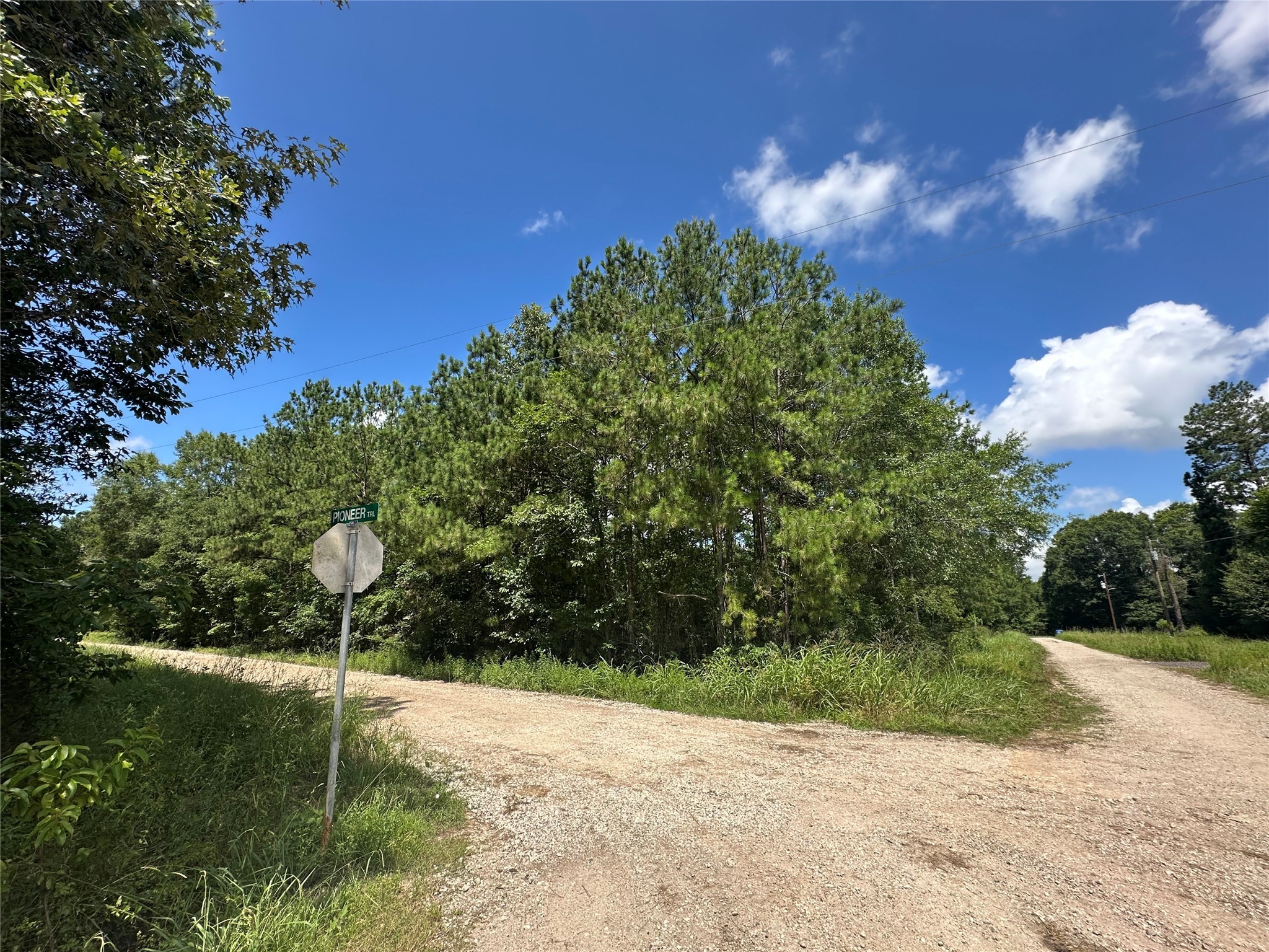 TBD Pioneer Trail, Livingston, TX 77351 - BHGRE