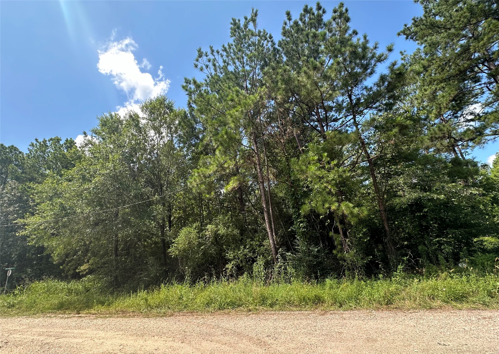 TBD Pioneer Trail, Livingston, TX 77351 - BHGRE