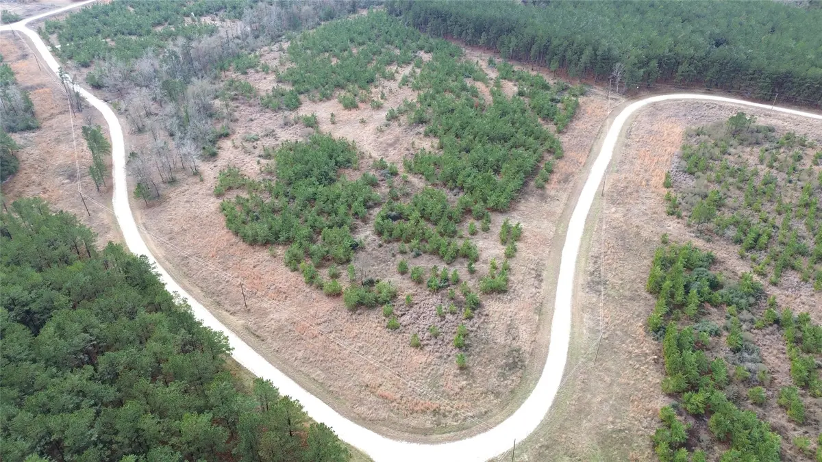 TBD Taylor Trail, Lovelady, TX 75851 - #1