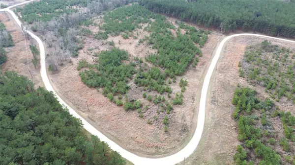 TBD Taylor Trail, Lovelady, TX 75851