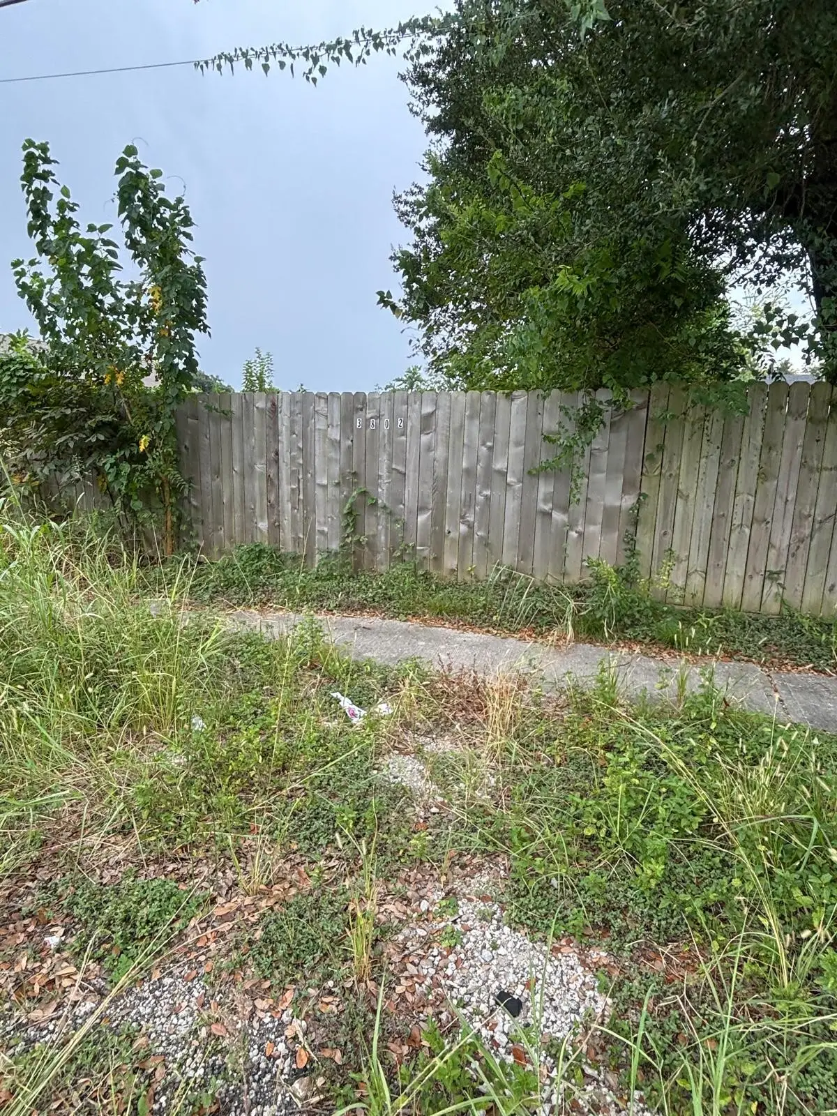 0 Parker Road, Hockley, TX 77093 - #1