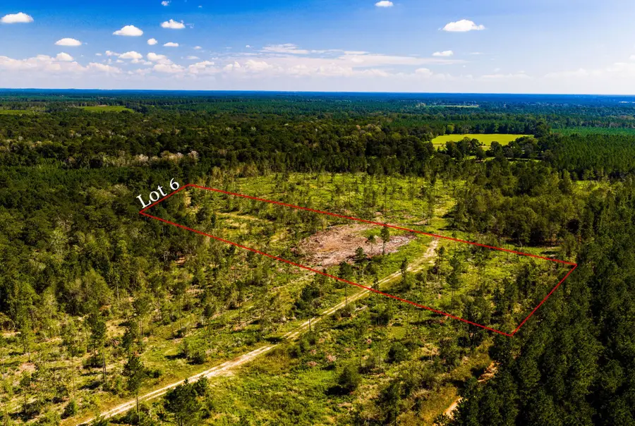 006 Buddy Lloyd Rd, Livingston, TX 77351 - #2