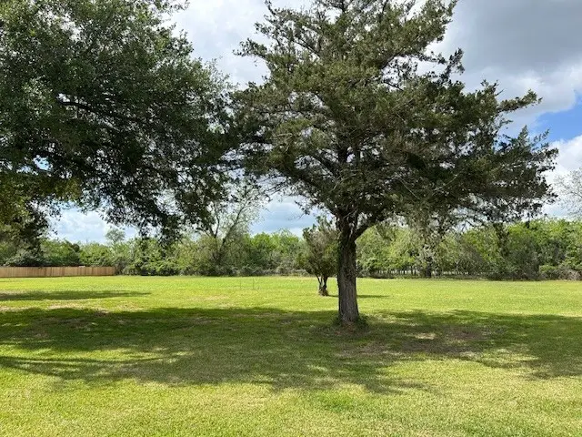 3019 Bowser Road, Fulshear, TX 77441 - #2