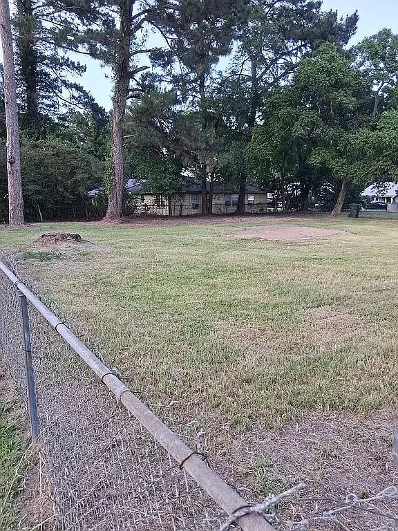 390 Nelson Street, Jasper, TX 75951 - #3