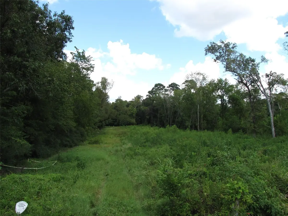 16422 Garrett Road, Houston, TX 77044 - #1